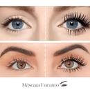 Máscara para Cílios Encanto™ - Original - SANTANA HOUSE