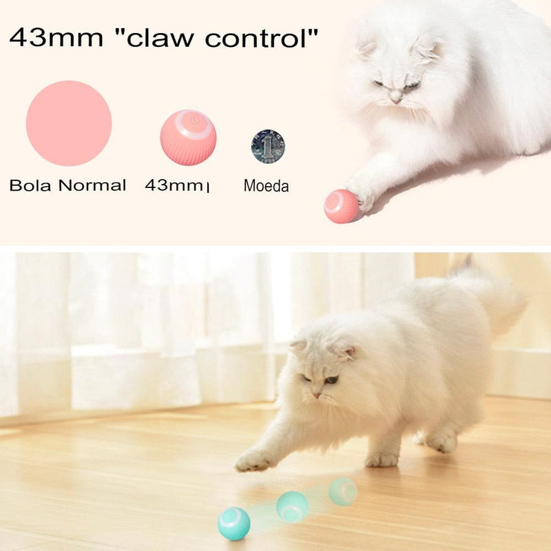 Bola de gato inteligente - SANTANA HOUSE