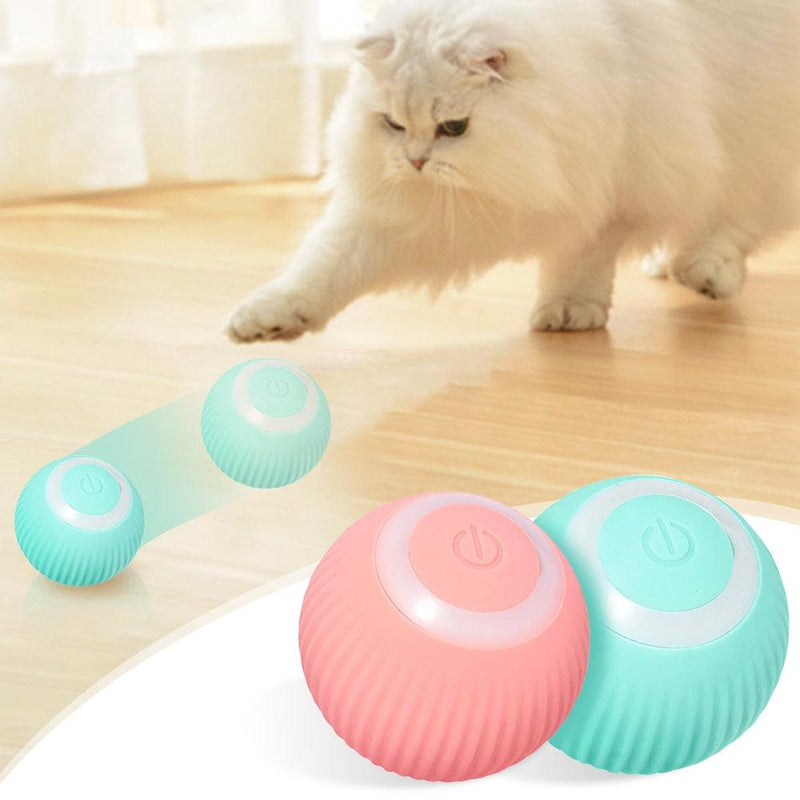 Bola de gato inteligente - SANTANA HOUSE