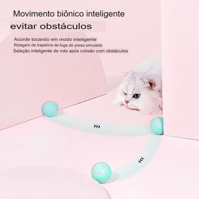 Bola de gato inteligente - SANTANA HOUSE