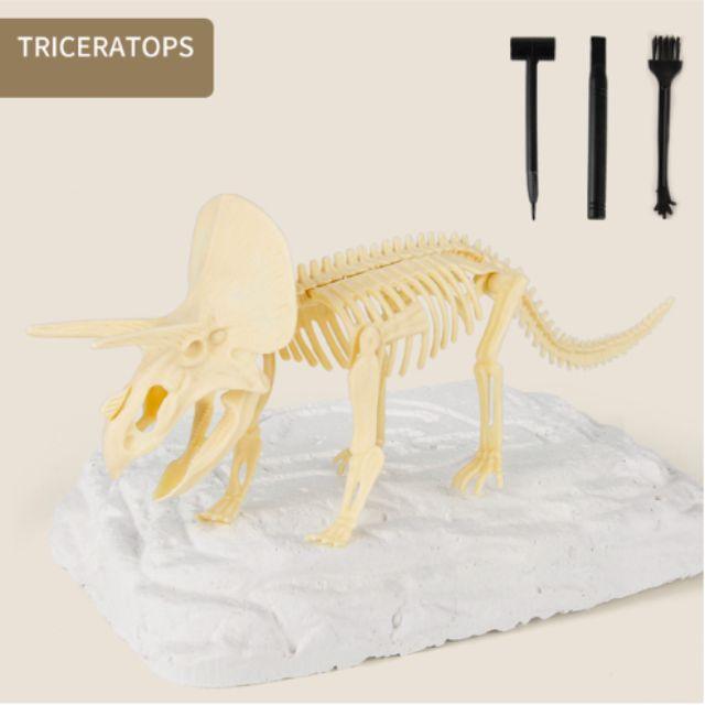 Kit de escavação de fósseis Jurássic™ (50% OFF ESPECIAL DE NATAL) - SANTANA HOUSE