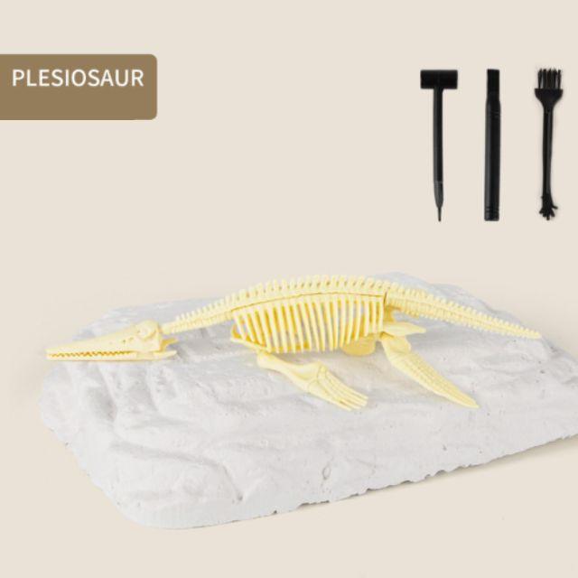 Kit de escavação de fósseis Jurássic™ (50% OFF ESPECIAL DE NATAL) - SANTANA HOUSE