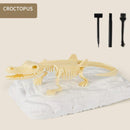 Kit de escavação de fósseis Jurássic™ (50% OFF ESPECIAL DE NATAL) - SANTANA HOUSE